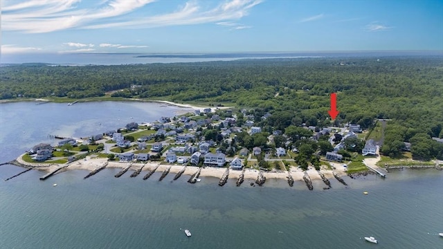 6 N Rd, Mattapoisett, MA 02739 - aerial view of property's location featuring a forest and a nearby body of water
