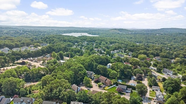2 Christin Way, Woburn, MA 01801 - aerial view of a forest