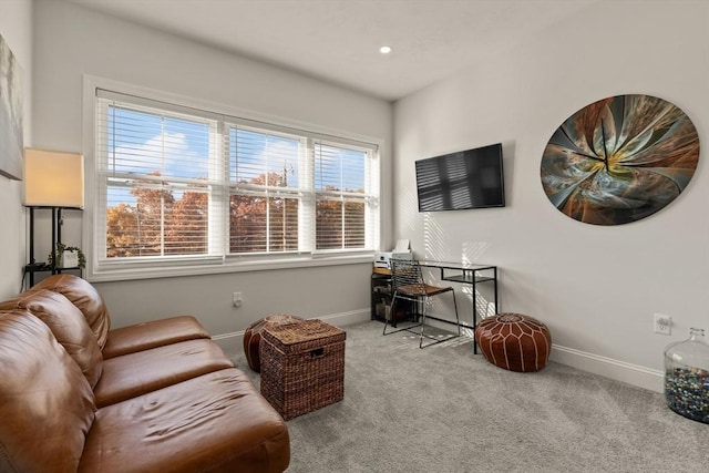 living area with carpet flooring and baseboards