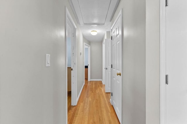 87 Lockwood Rd, Lynn, MA 01904 - corridor with light wood finished floors and baseboards