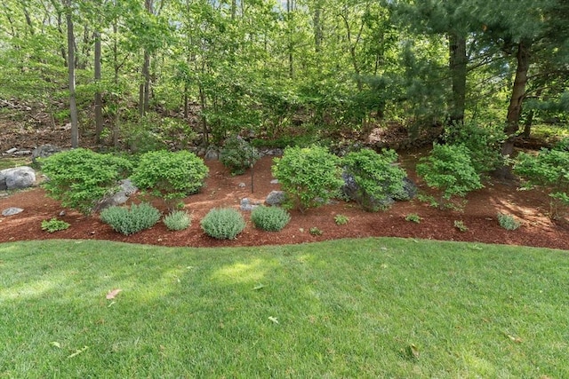 87 Lockwood Rd, Lynn, MA 01904 - view of grassy yard