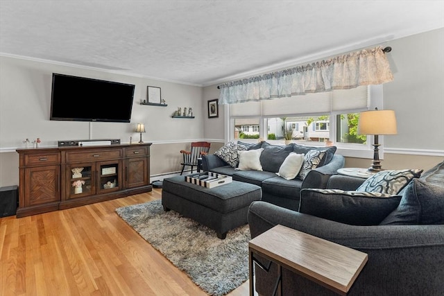 87 Lockwood Rd, Lynn, MA 01904 - living area featuring light wood-style floors, crown molding, a baseboard heating unit, and a textured ceiling