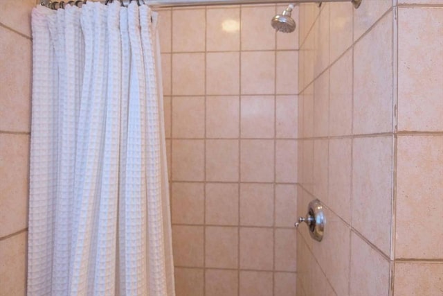 room details with tiled shower