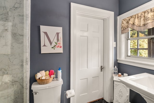 bathroom with sink and toilet