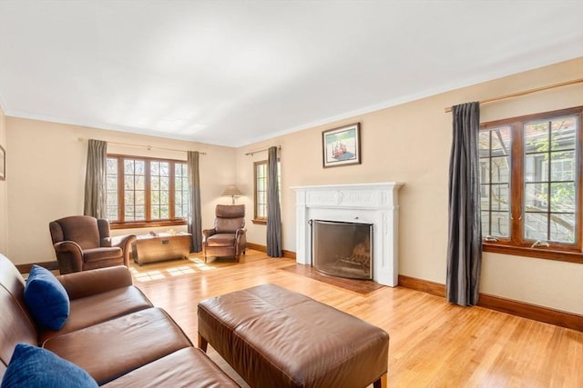 36 Blake Rd, Brookline, MA 02445 - living area with baseboards, crown molding, light wood-style flooring, and a fireplace with flush hearth
