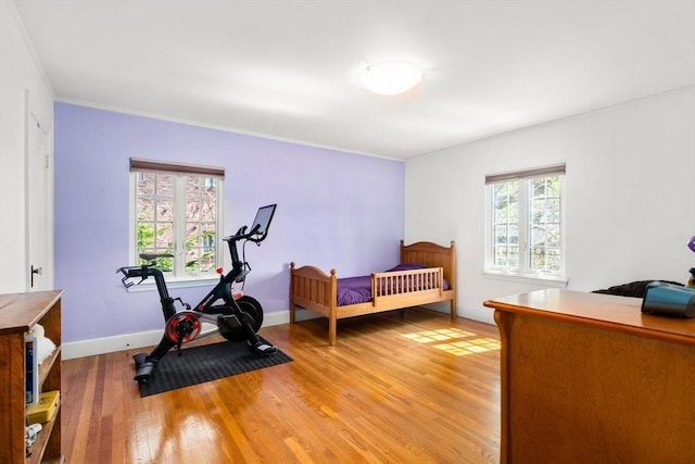 36 Blake Rd, Brookline, MA 02445 - bedroom with baseboards and light wood-style floors