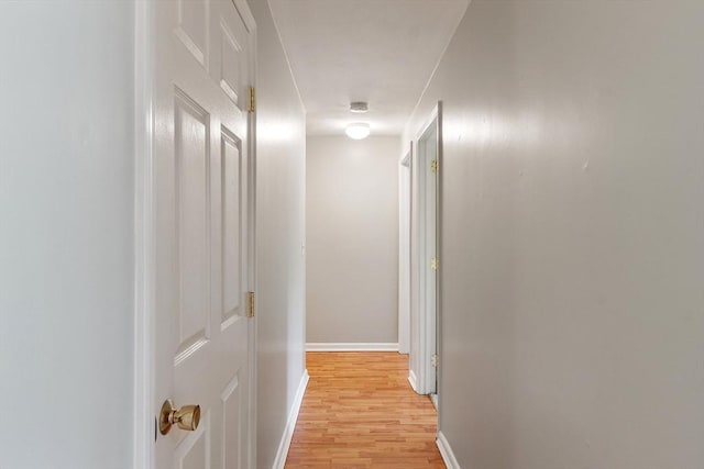 176 Maple Ave Unit 5-5, Rutland, MA 01543 - hall featuring light wood-type flooring and baseboards