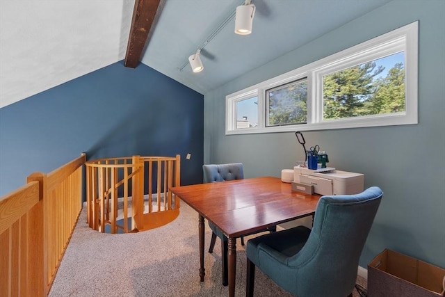 31 Monadnock Dr Unit 31, Westford, MA 01886 - carpeted home office with rail lighting