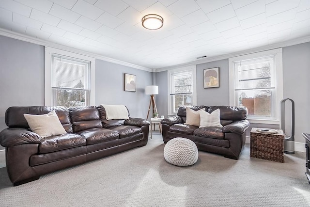 living area with crown molding and a wealth of natural light