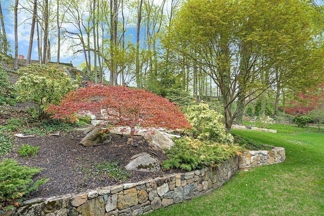 view of green lawn