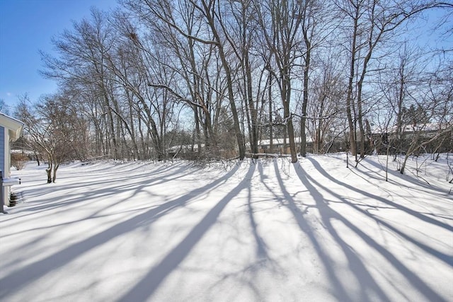 view of yard layered in snow