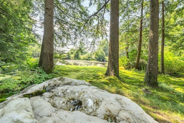 32 Pond Hill Rd, Goshen, MA 01032 - view of yard