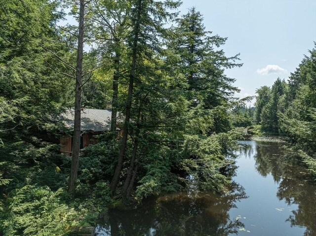 32 Pond Hill Rd, Goshen, MA 01032 - water view with a forest