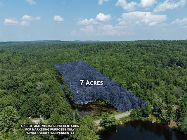 32 Pond Hill Rd, Goshen, MA 01032 - aerial view of a forest and a nearby body of water