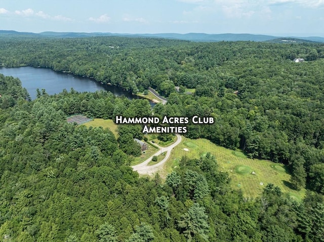 32 Pond Hill Rd, Goshen, MA 01032 - aerial view of property's location featuring a forest and a nearby body of water