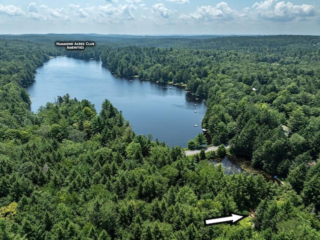 32 Pond Hill Rd, Goshen, MA 01032 - drone / aerial view of a heavily wooded area and a nearby body of water