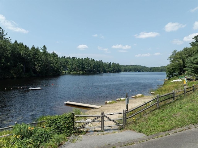 32 Pond Hill Rd, Goshen, MA 01032 - water view with fence and a forest