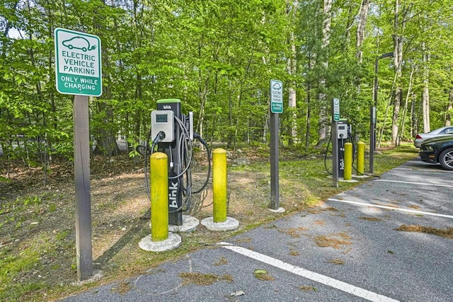 147 Butternut Holw Unit 147, Acton, MA 01718 - exterior view of parking