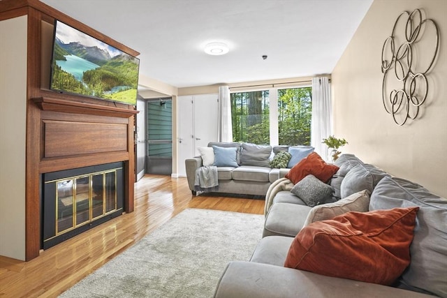 147 Butternut Holw Unit 147, Acton, MA 01718 - living room featuring light wood-style floors and a glass covered fireplace