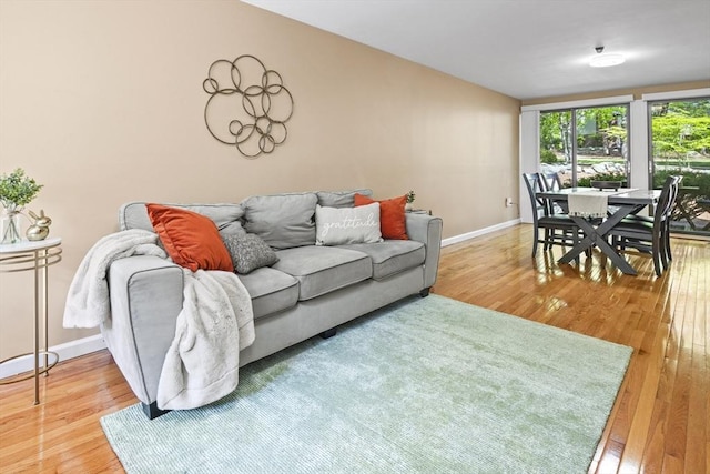 147 Butternut Holw Unit 147, Acton, MA 01718 - living area with wood finished floors and baseboards