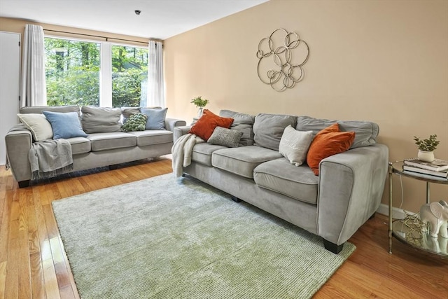 147 Butternut Holw Unit 147, Acton, MA 01718 - living room featuring hardwood / wood-style floors