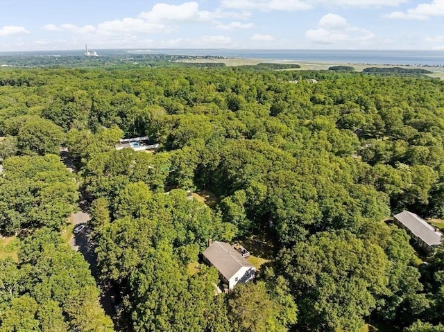 15 Surrey Ln, Sandwich, MA 02563 - aerial view of property and surrounding area featuring a forest