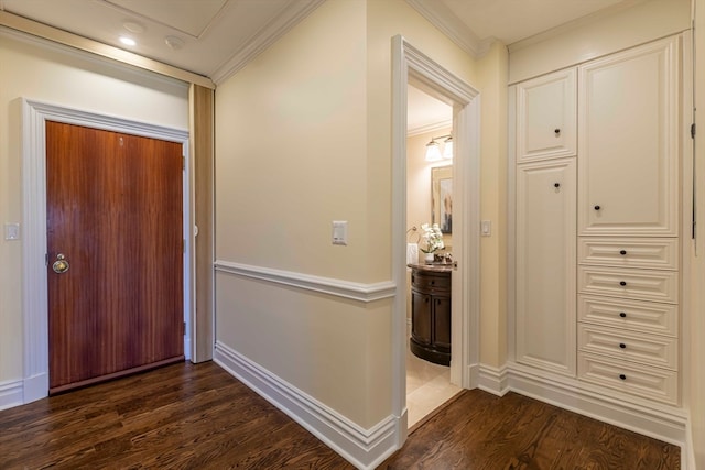 entrance foyer featuring ornamental molding and dark wood-type flooring