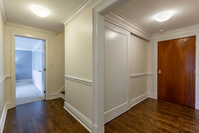 hallway featuring dark wood-type flooring and crown molding