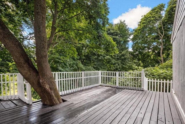 7 New Bridge St, Hingham, MA 02043 - view of wooden deck