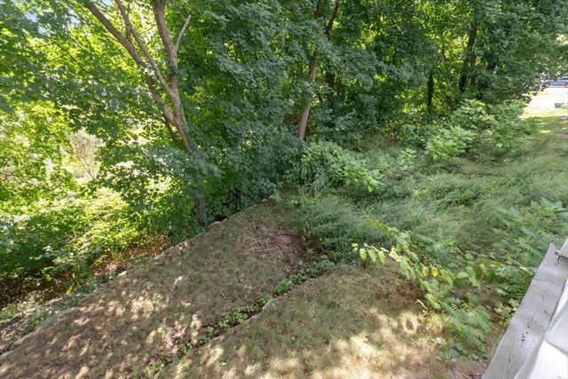 7 New Bridge St, Hingham, MA 02043 - view of local wilderness