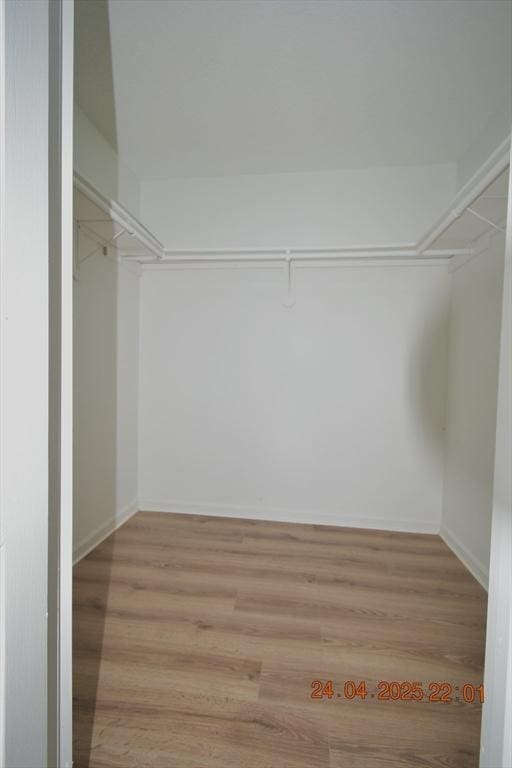 walk in closet featuring wood finished floors