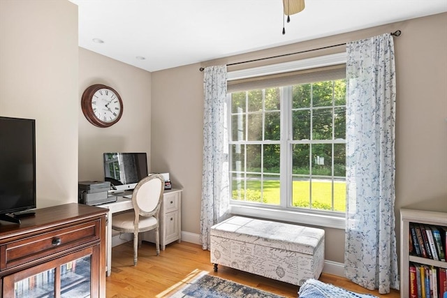 53 Gilbert Rd, Southampton, MA 01073 - home office with healthy amount of natural light, baseboards, and light wood-style flooring