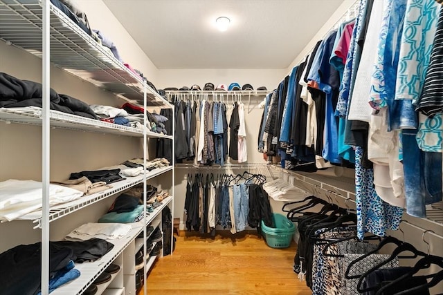 53 Gilbert Rd, Southampton, MA 01073 - spacious closet featuring wood finished floors