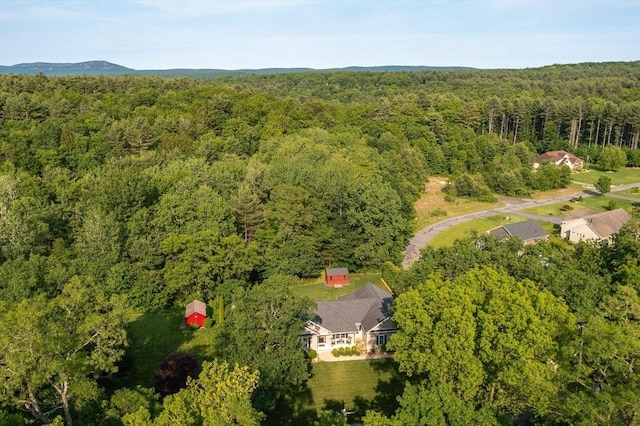 53 Gilbert Rd, Southampton, MA 01073 - aerial view of property and surrounding area with a forest