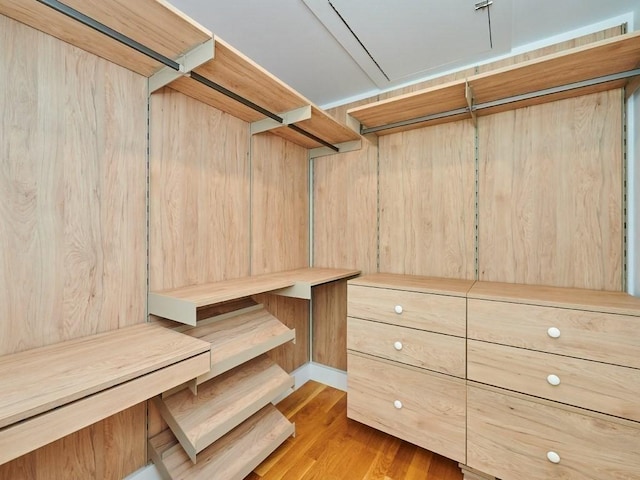 spacious closet featuring light wood-type flooring