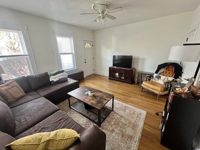 living room with radiator, hardwood / wood-style flooring, and ceiling fan