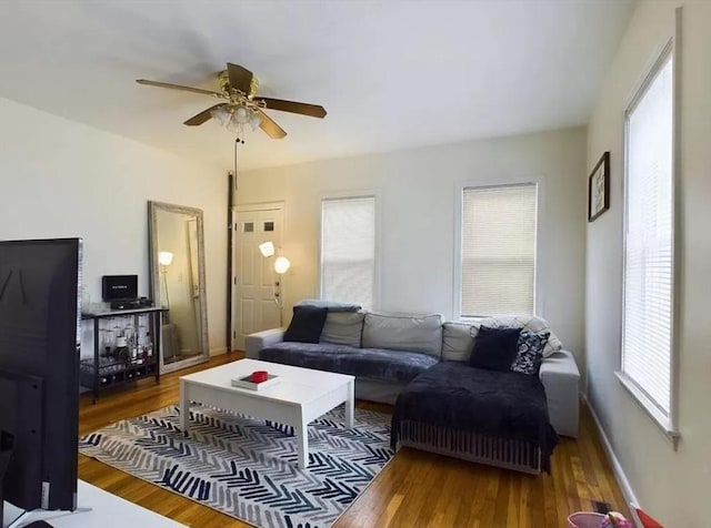 living room featuring wood-type flooring, ceiling fan, and a healthy amount of sunlight