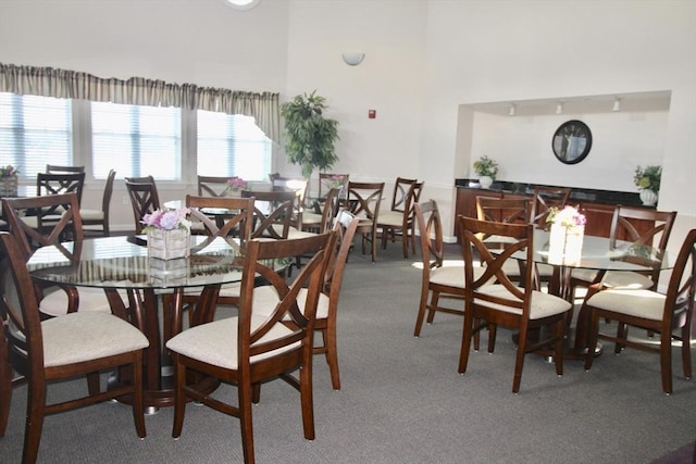 dining space with light carpet