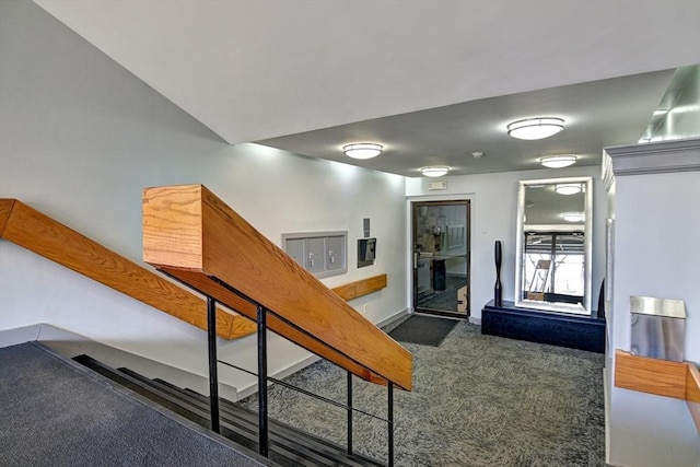 staircase featuring carpet