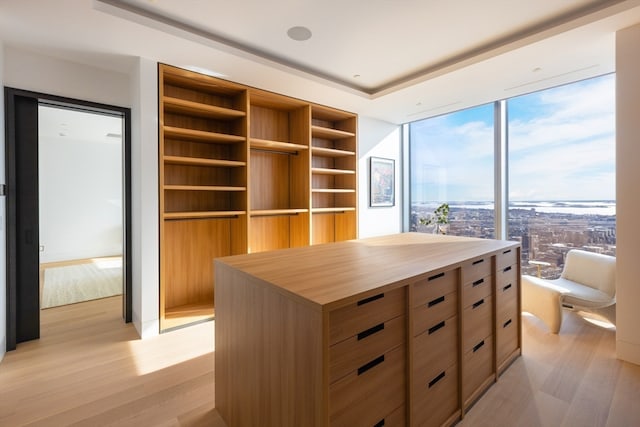 walk in closet with light hardwood / wood-style floors