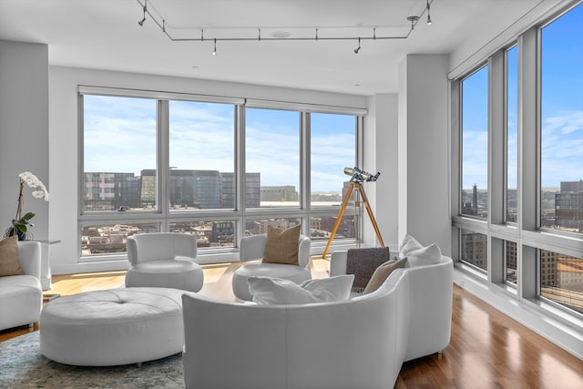 living room featuring a wealth of natural light, hardwood / wood-style floors, and track lighting