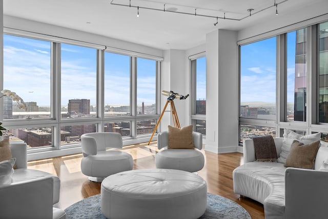 living room with light wood-type flooring, plenty of natural light, and rail lighting