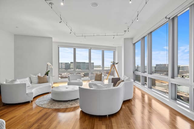 living room featuring hardwood / wood-style floors and track lighting