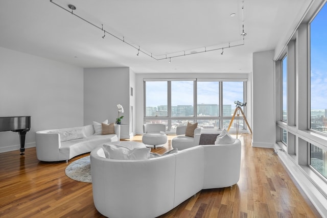 living room featuring hardwood / wood-style flooring, plenty of natural light, and track lighting