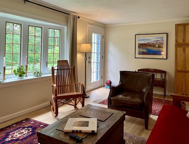 947 Burts Pit Rd, Northampton, MA 01062 - living area with light wood-type flooring and crown molding