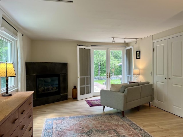947 Burts Pit Rd, Northampton, MA 01062 - living area featuring light wood-type flooring, plenty of natural light, a glass covered fireplace, and french doors
