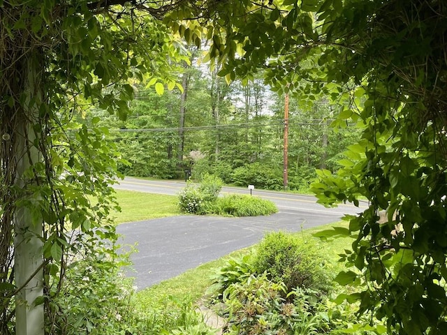 947 Burts Pit Rd, Northampton, MA 01062 - view of community