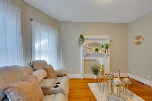 living room with light hardwood / wood-style floors