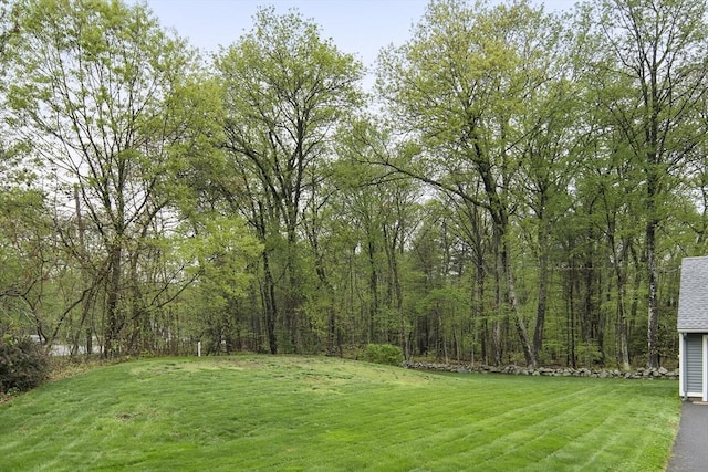 view of green lawn