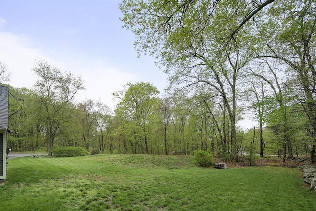 view of green lawn with a wooded view